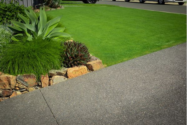 TifTuf Bermuda Premium Lawn 