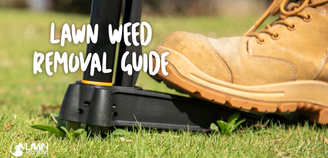 Lawn Weed Removal Guide