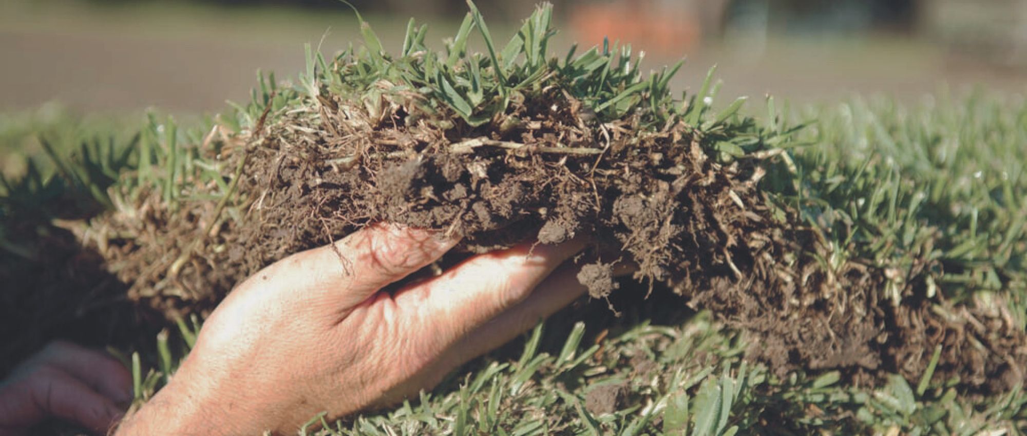 Active Turf Supplies - Buy freshly cut turf, direct from the farm