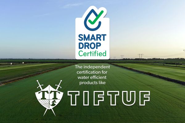 TifTuf Bermuda Smart Drop Certified 