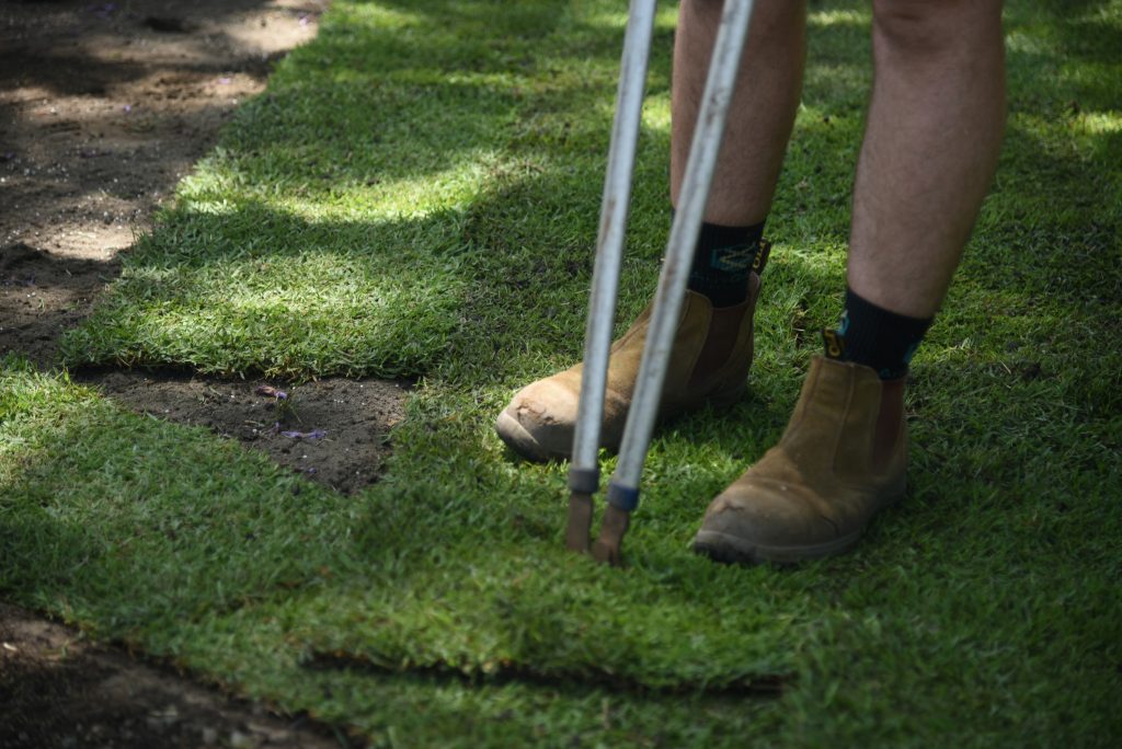 Laying Lawn