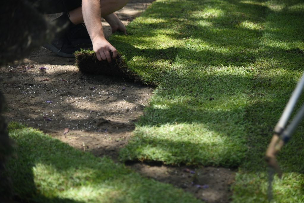 Cutting and Laying Turf