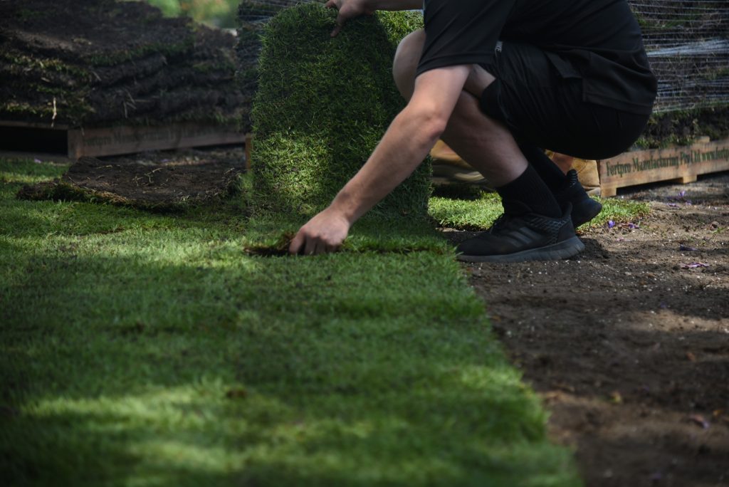 Laying Turf Roll 