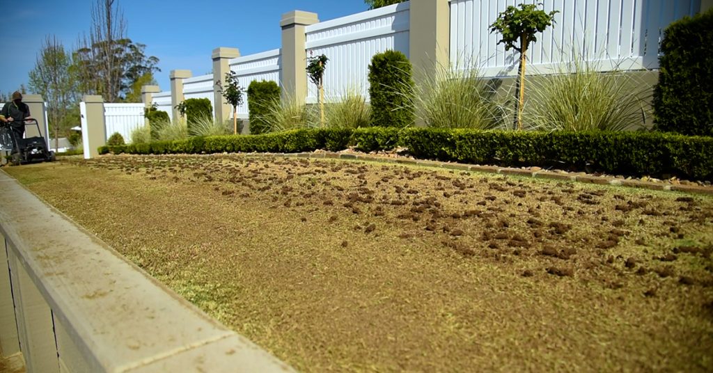 Aerating Lawn ready for Top Dressing