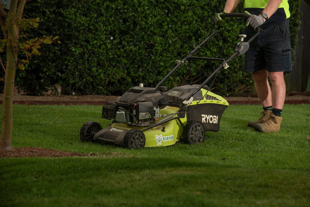 Mowing Lawn All Year Round
