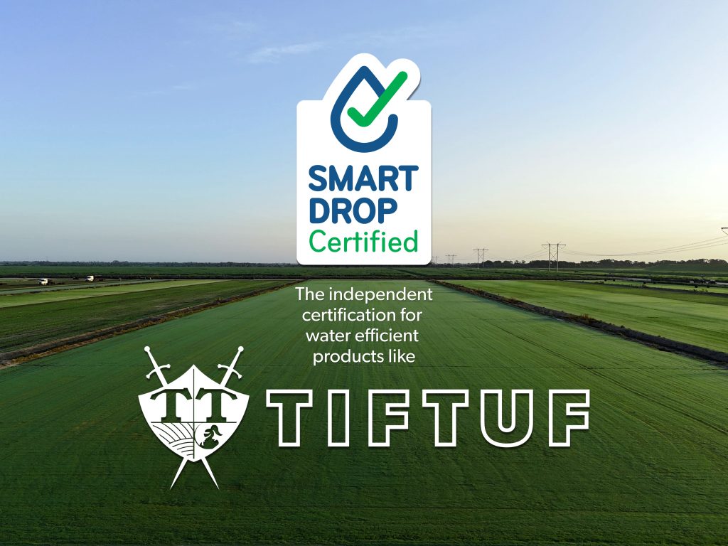 TifTuf Bermuda Smart Drop Certified